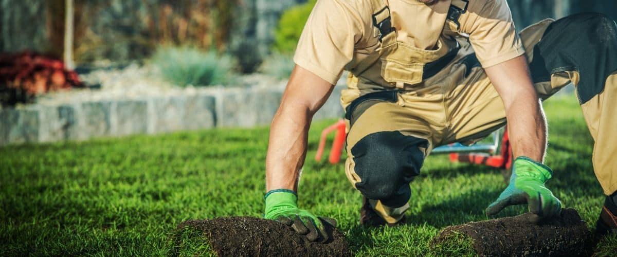 How to Market a Landscaping Business 